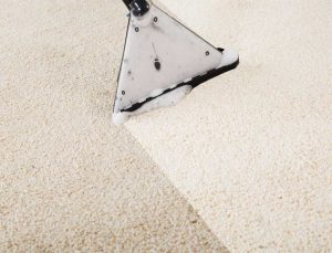 La Mesa Carpet Cleaning N F Care