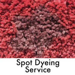 Spot Dying Services
