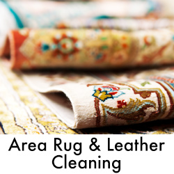 Area Rug & Leather Cleaning