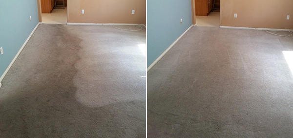 Carpet Cleaning Services San Diego CA
